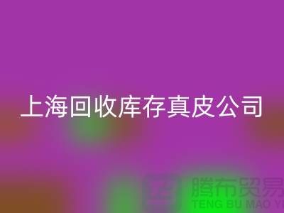 環保與創新：回收庫存真皮和羊皮的重要性_上海騰布貿易ShTengBu.com