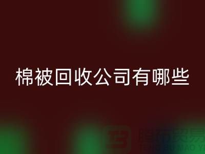 棉被回收公司有哪些—浙江庫存面料回收廠家:環保與經濟的雙重助力
