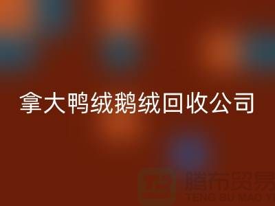 探秘加拿大鴨絨鵝絨回收公司：環(huán)保與品質(zhì)的雙重堅守