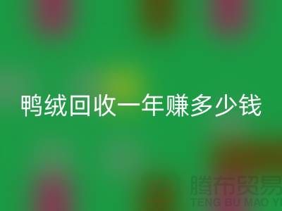 鴨絨回收一年掙多少錢?揭秘利潤與環保的雙重收益