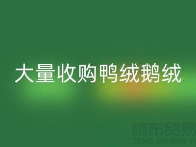專業(yè)羽絨回收-大量收購(gòu)鴨絨鵝絨-杭州服裝回收廠家