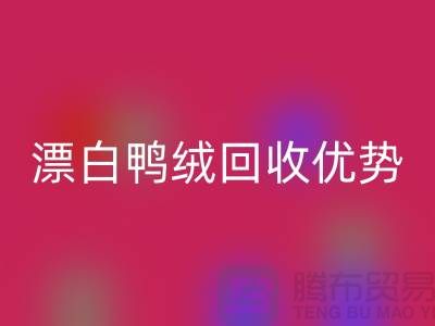 ### 純白90％鵝絨、漂白鴨絨回收優勢與南通鴨絨收購公司