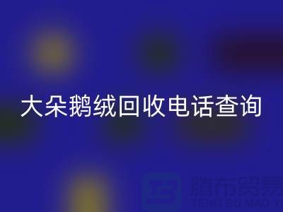 ### 日標(biāo)羽絨回收，大朵鵝絨回收電話查詢，南京鴨絨回收公司