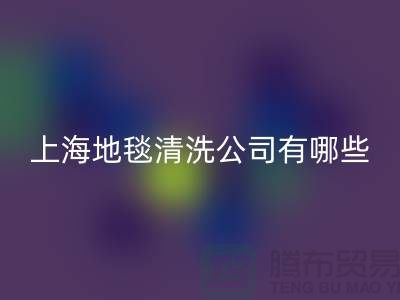 在上海，地毯清洗服務公司有哪些