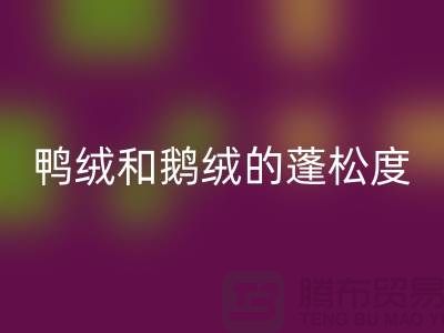 1738416262754592.png 070a519bcac4a29b904078fc1400960f_1.png