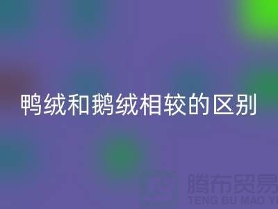 鴨絨和鵝絨相較后的區(qū)別-90鴨絨回收-庫存羽絨回收公司