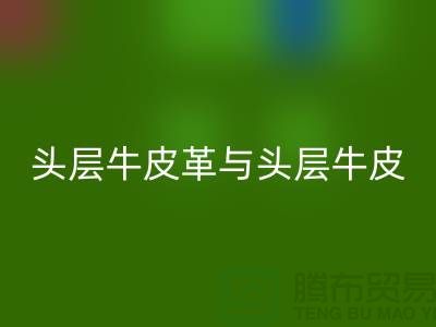 頭層牛皮革與頭層牛皮：材質選擇的深度解析