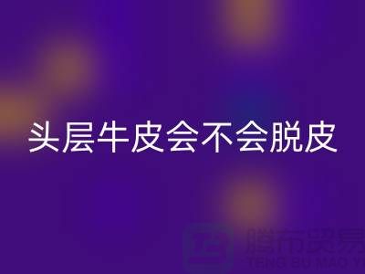 ### 頭層牛皮:真皮中的佼佼者