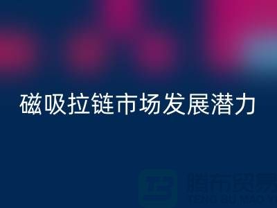 磁吸拉鏈市場發展潛力研究分析報告_上海拉鏈回收公司