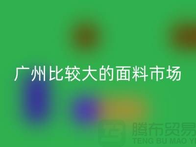 廣州比較大的面料市場_中大布料市場攻略_上海騰布貿易公司