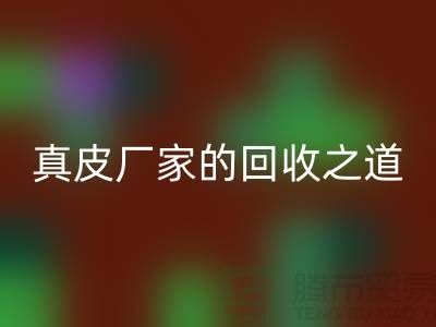 探尋真皮廠家的回收之道：打造環(huán)保時尚新潮流