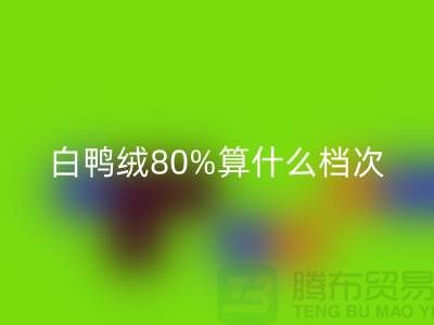 白鴨絨80%算什么檔次——杭州羽絨收購廠家