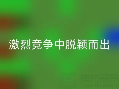 上海庫存布料回收市場：如何在激烈競爭中脫穎而出