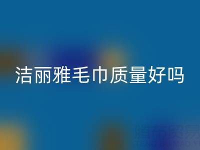 潔麗雅毛巾質量怎么樣?是品牌嗎?——二手毛巾回收平臺
