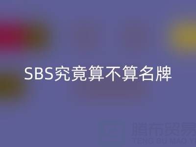 SBS究竟算不算名牌？深扒品牌定位與消費者認知真相
