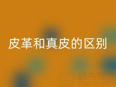 皮革和真皮的區(qū)別和耐用度哪個好一點