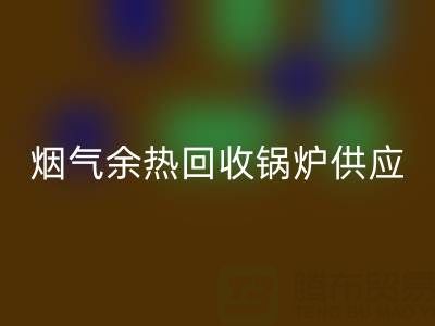 煙氣余熱回收鍋爐供應(yīng)商盤點(diǎn):行業(yè)領(lǐng)先企業(yè)及技術(shù)解析