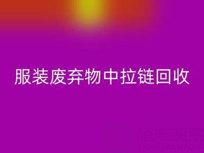 服裝廢棄物中拉鏈回收的特殊性及應(yīng)對(duì)措施