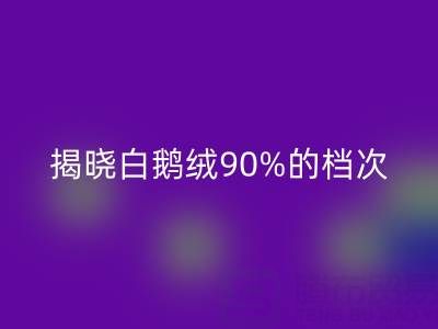 揭秘白鵝絨90%的檔次與價值，探尋杭州羽絨回收奧秘
